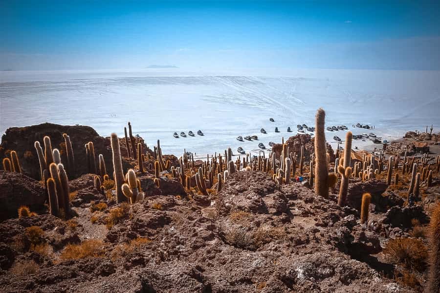 Uyuni: Guided 3-Day Tour Salt Flats & Avaroa National Park - Should you book the Uyuni three-day tour?
