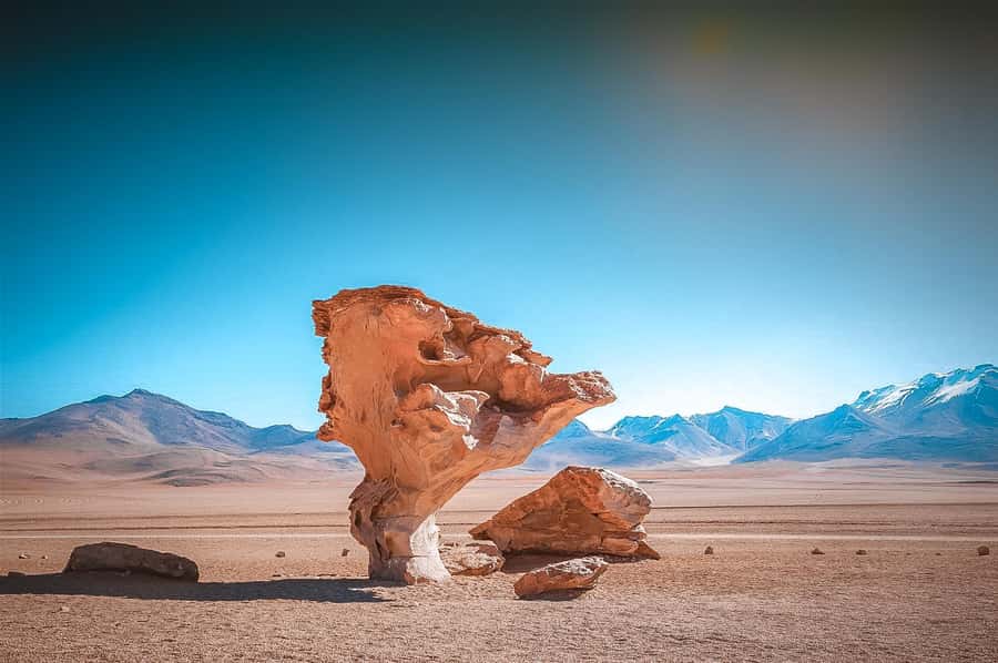 Uyuni: Guided 3-Day Tour Salt Flats & Avaroa National Park - Why this three-day route is more than a salt-flat photo stop
