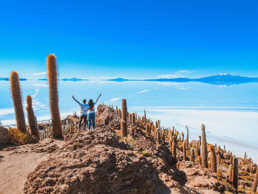 Uyuni: Isla Incahuasi & Uyuni Salt Flats Full-Day Jeep Tour - Guide quality and what the $139 price covers
