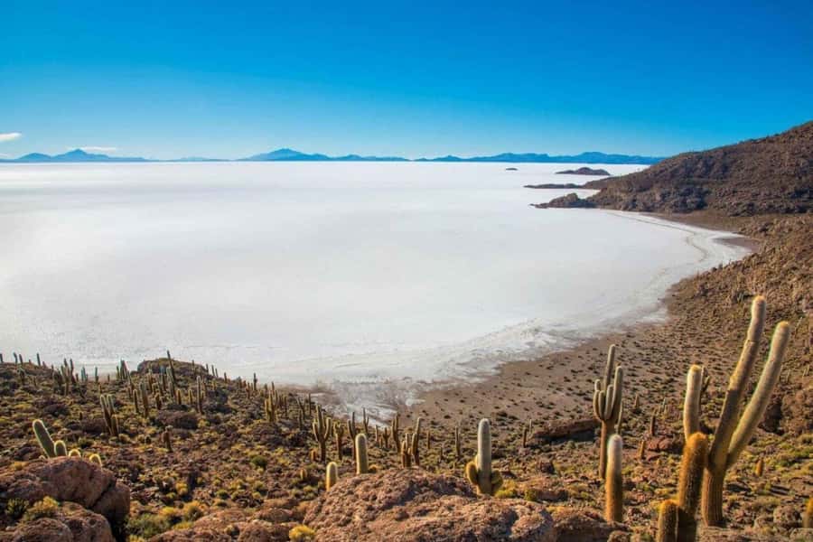 Uyuni: Salar de Uyuni and San Pedro de Atacama 3-Day Tour - What the 4x4 ride and driver are really like
