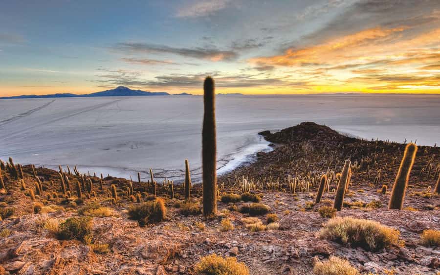 Uyuni: Salar de Uyuni Traditional Tour+Sunset Tour - Starting at 10:30 in Uyuni