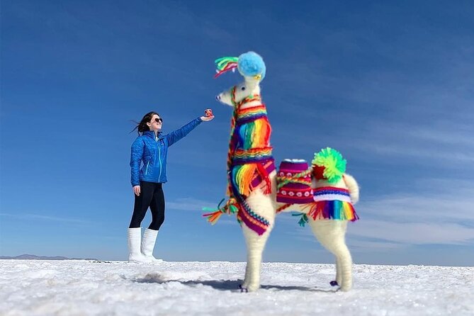 Uyuni Salt 1 day Tour with guide in English + Lunch and Sunset - Entering the Salar de Uyuni