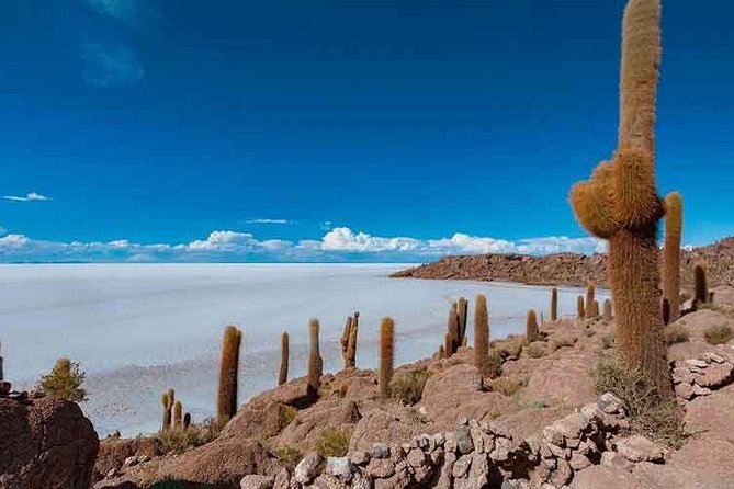 Uyuni Salt 1 day Tour with guide in English + Lunch and Sunset - Incahuasi Island and its giant cacti