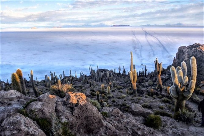 Uyuni Salt Flats (3 Days) English Speaking Guide - Isla Incahuasi and a night inside a salt hotel